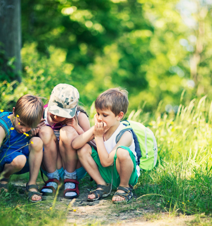 Schools & Young People